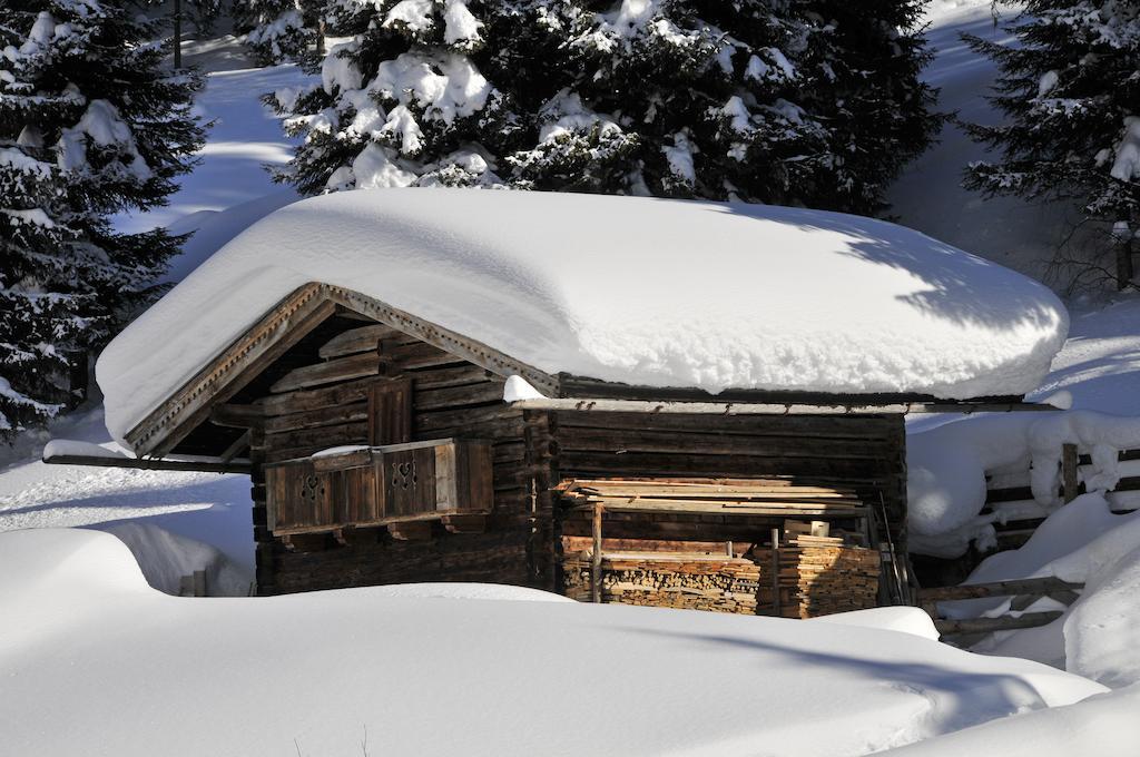 Appartements St. Leonhard Aschau Im Zillertal エクステリア 写真